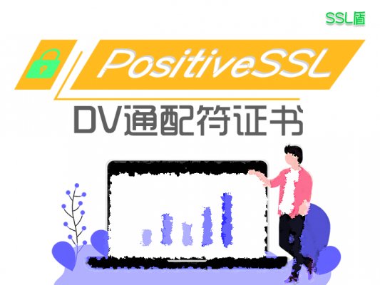PositiveSSL DV通配符SSL数字证书