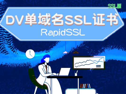 RapidSSL DV单域名SSL数字证书