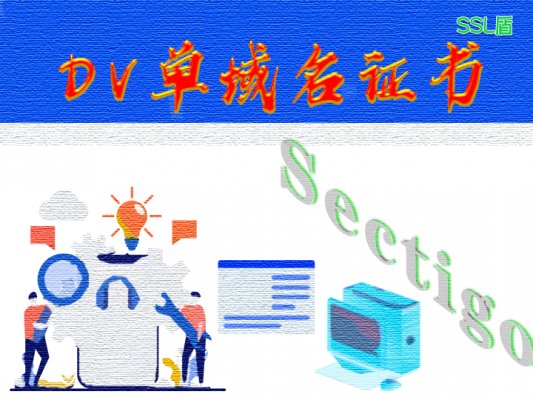 Sectigo 单域名DV SSL数字证书