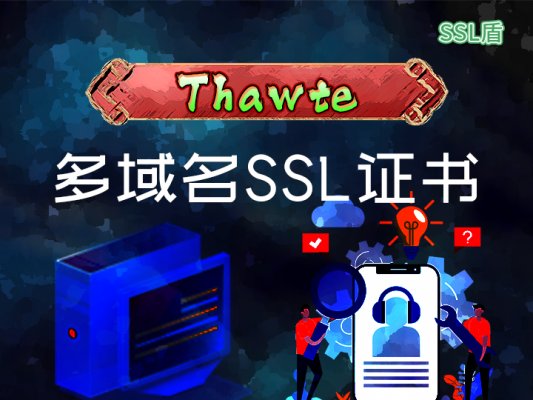 Thawte DV多域名SSL数字证书