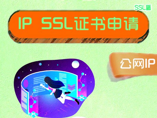 IP SSL证书申请条件及流程